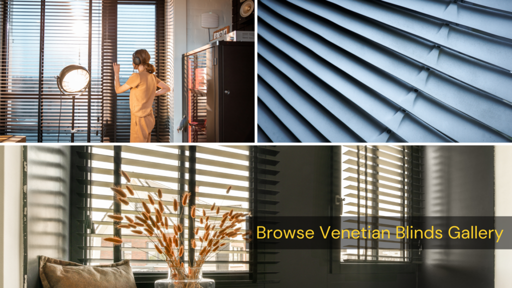 venetian blinds - float glass