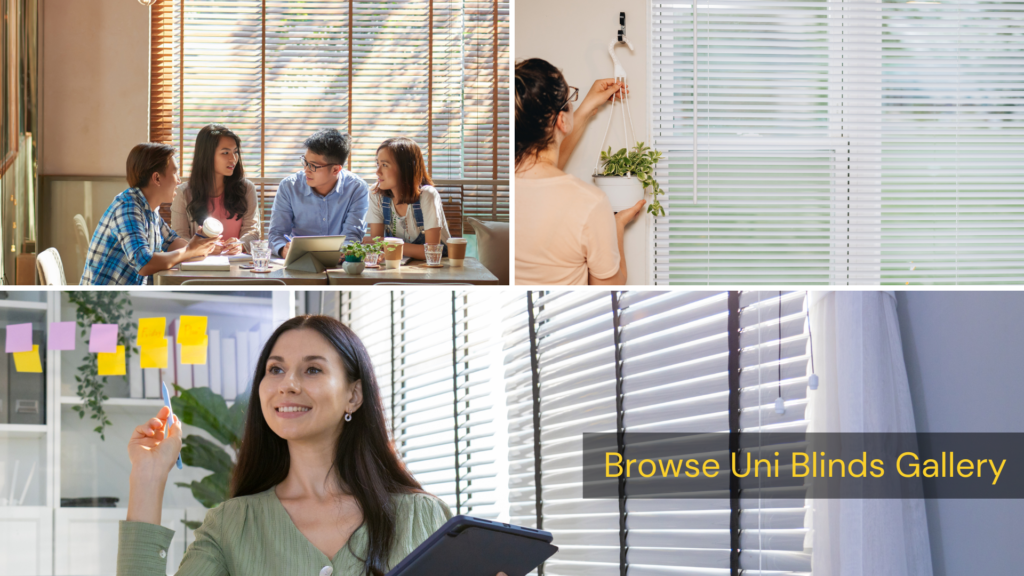 uni blinds